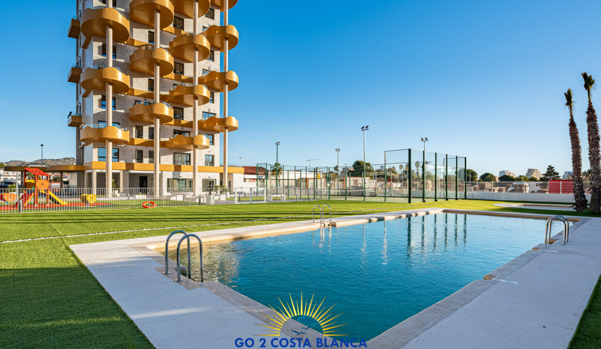 20 CAMPORROSSO GOLDEN LEAVES